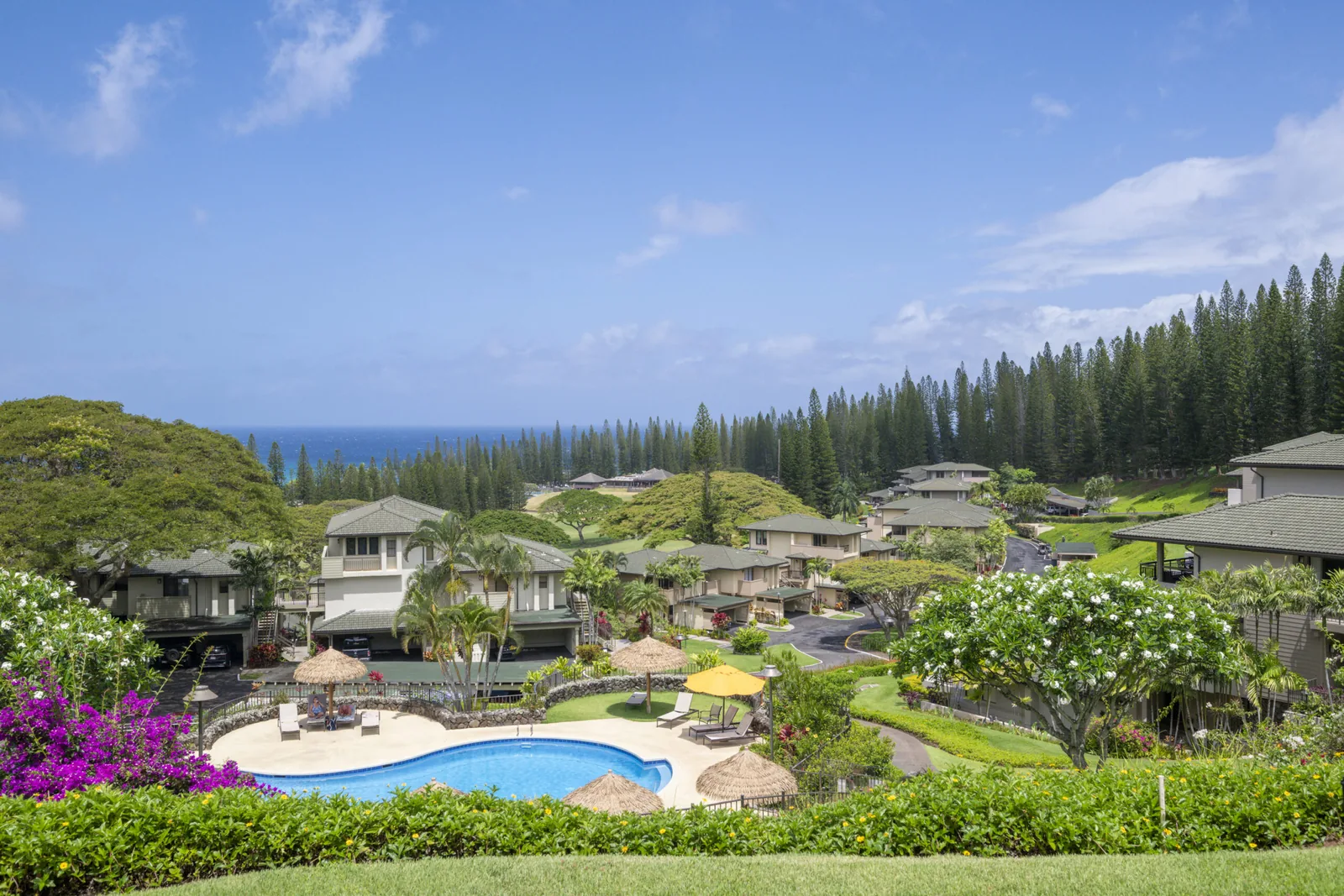 Plantation-style condos with green tile roofs stepping down a hillside above a kidney-shaped pool, bougainvillea and Cook pines, with a strip of ocean on the horizon.