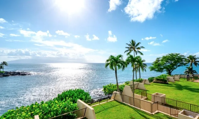 Honokeana Cove: black lava shoreline, turquoise water, three coconut palms and a terraced lawn stepping down to the sea.